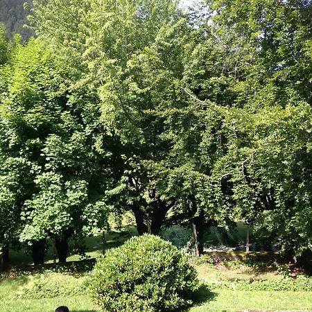 Willa L'autre Vie La